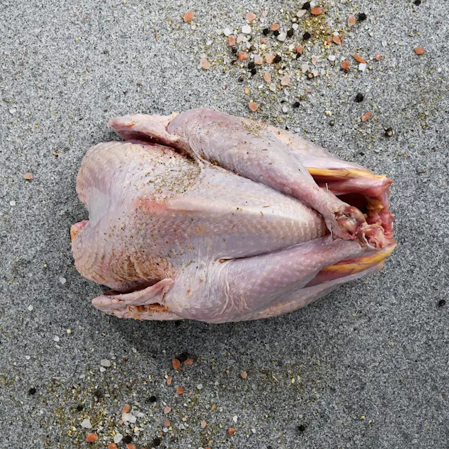 80483-pollo-rock-cornish