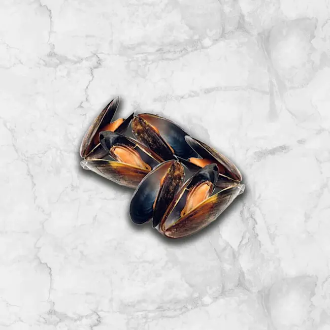 81640-mejillones-enteros-premium