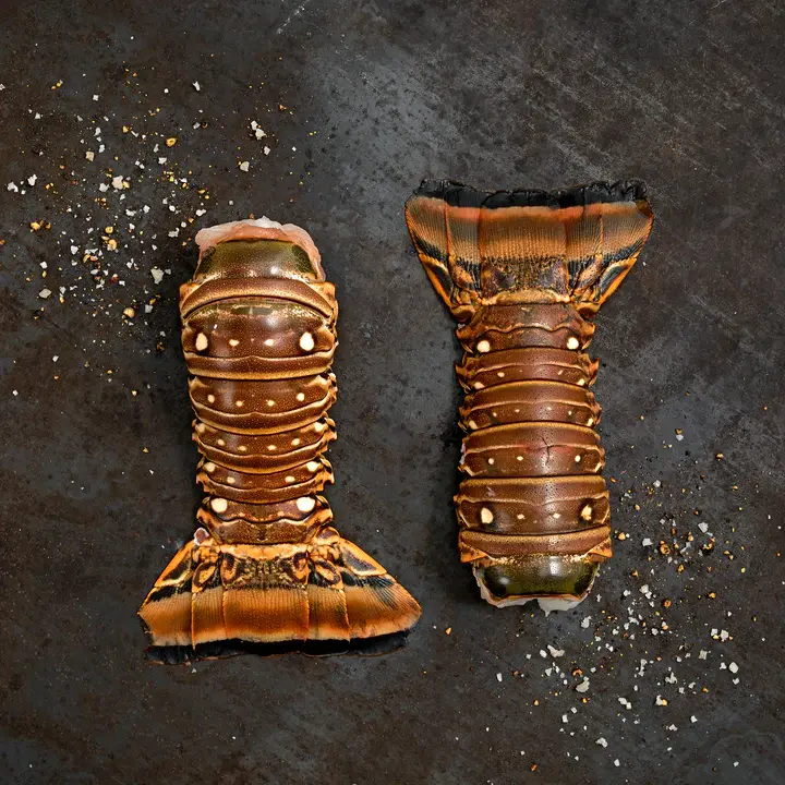 81749-wfmex-raw-cola-de-langosta-pescados 720x720-1