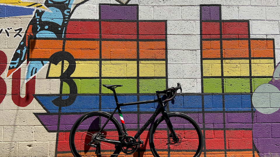 Hero image for Faster Than a Rescued Greyhound