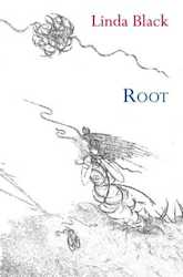 Root