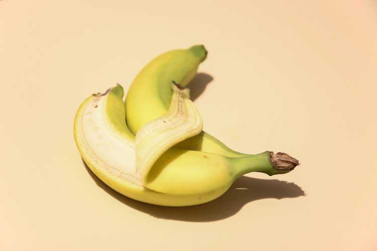 Two intimate bananas.