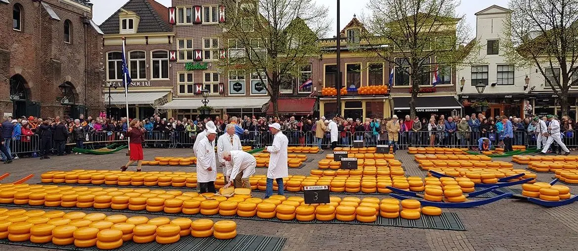 alkmaar-fullwidth-1170x508