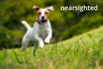 Jack Russell (nearsighted)