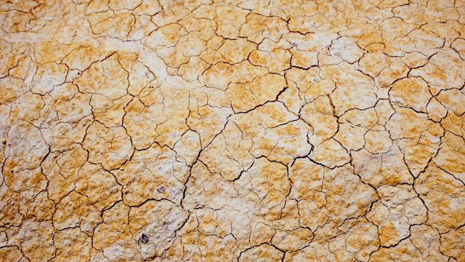 dry cracked earth