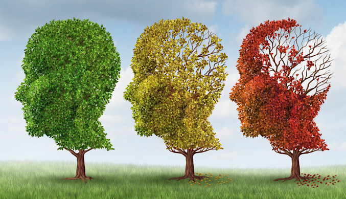 alzheimers effects