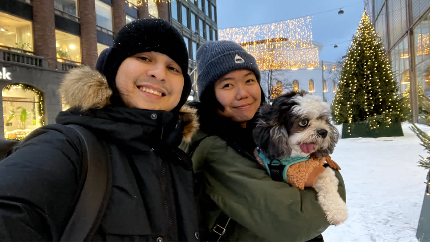 Levin's Winter in Helsinki