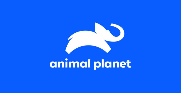 โลโก้ Animal Planet