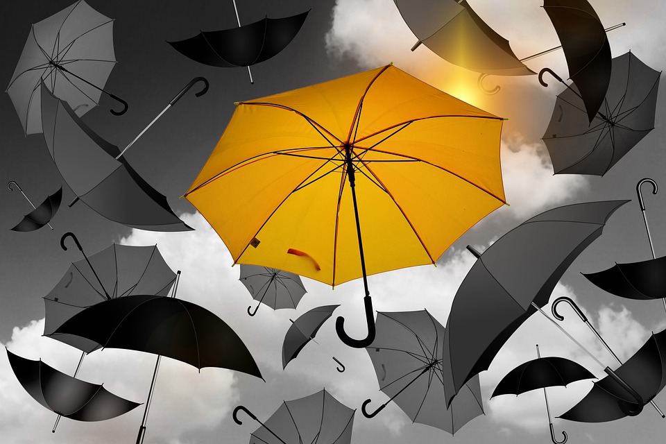 Why Do You Need an Umbrella Insurance Policy?