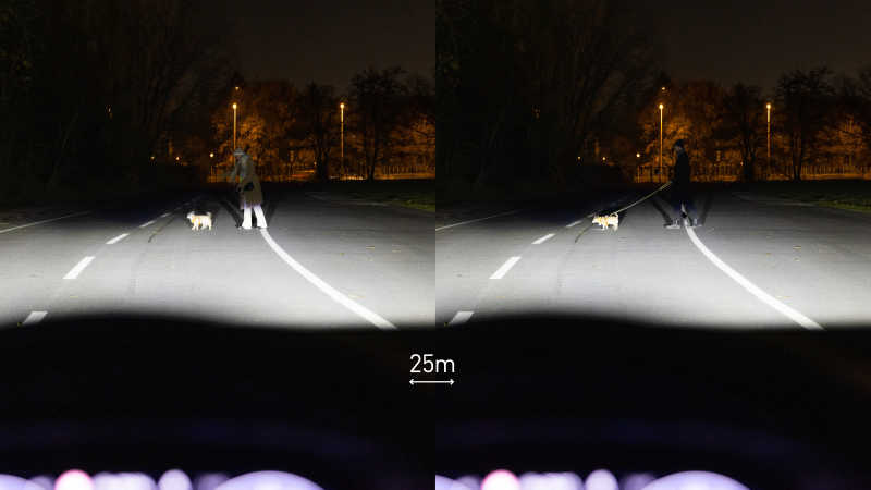 Eine Collage aus zwei Bildern zeigt links eine Frau, die mit einem Hund an der Leine eine Straße überquert. Rechts geht ein Mann mit einem Hund, samt retroreflektierender Hundeleine und Leuchthalsband, über die Straße. Beide überqueren die Straße in einer Entfernung von 25 Metern.
