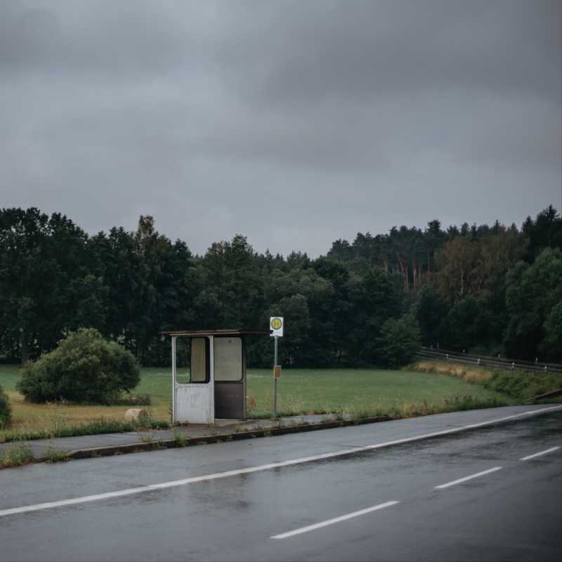 Alleinstehende Bushaltestelle an einer Straße, im Hintergrund ist ein Wald zu sehen.