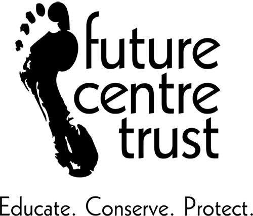 fct-viral-logo