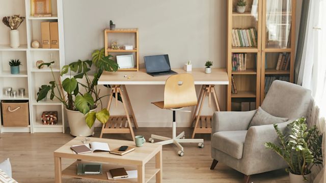 Statut LMP guide complet