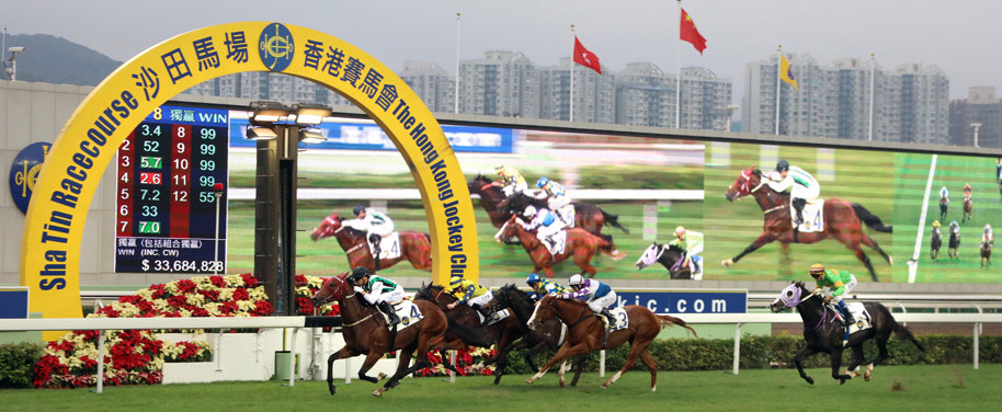 Sunday best and value bets plus full selections at Sha Tin (09/06)