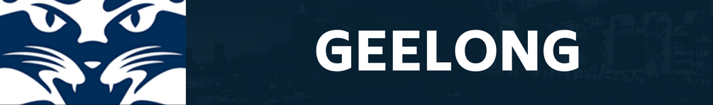 Geelong club banner