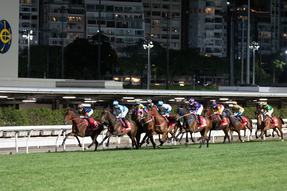 Wednesday best and value bets plus full selections at Happy Valley (12/06)