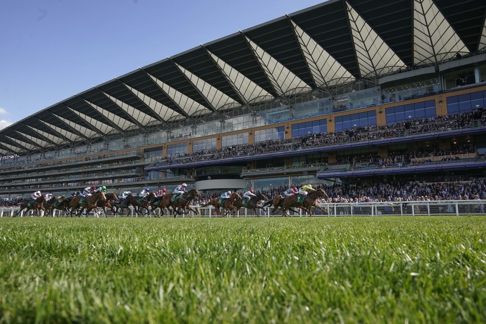 What the New Zealand racing industry can learn from Royal Ascot