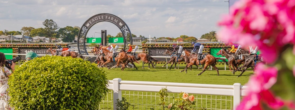 “She’s a serious filly”: Cam Luke’s  Golden Eagle tip