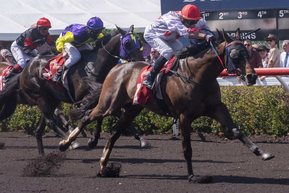 Andrew O’Toole’s Saturday best at Darwin (17/06)