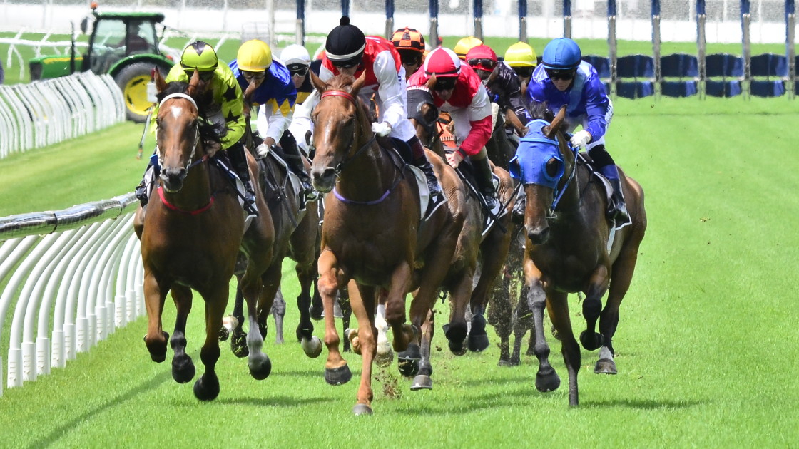 Mick Gannon’s Saturday best and value bets at Eagle Farm, Rosehill & Caulfield (01/06)