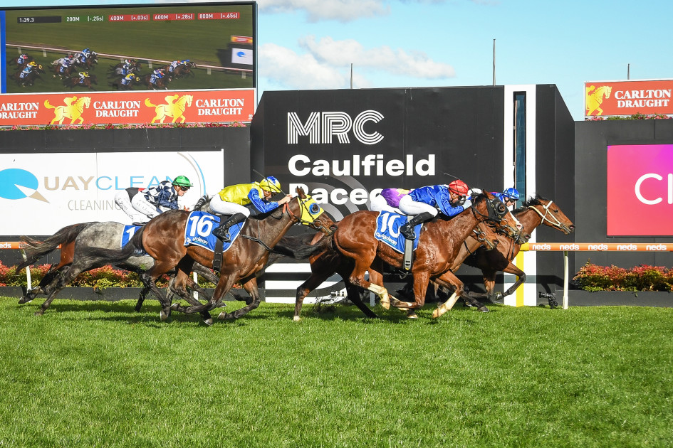 SENTrack: Saturday best bets at Caulfield (1/06)