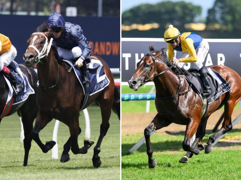 Why there’s no question about who is the No.1 seed in the Golden Slipper