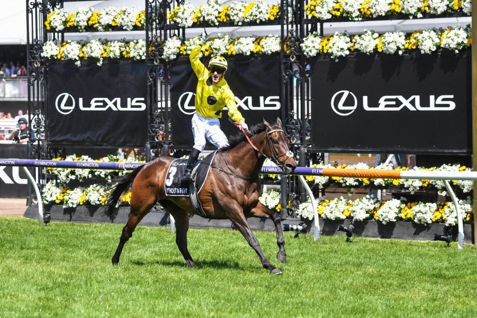 Who should win the Victorian Racehorse of the Year?