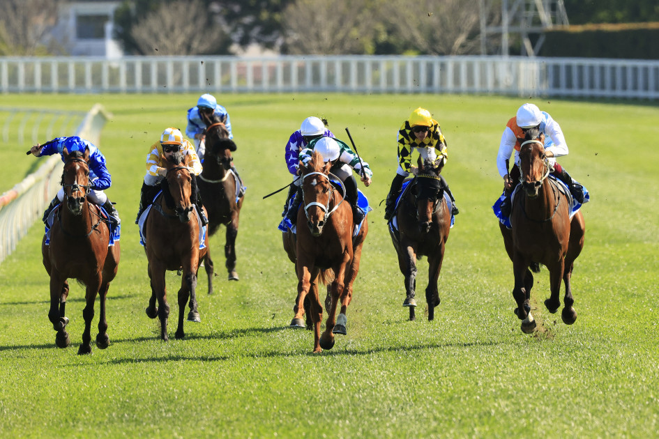 Mick Gannon’s Saturday best and value bets at Randwick, Flemington & Ipswich (22/06)