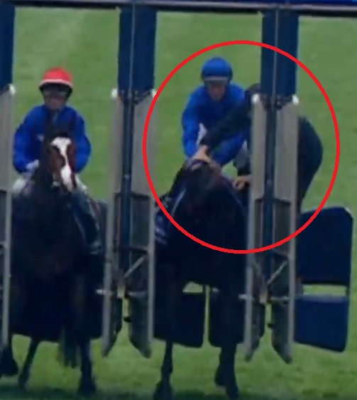 “Horse’s fault”: RV chief steward explains controversial Fleetwood decision