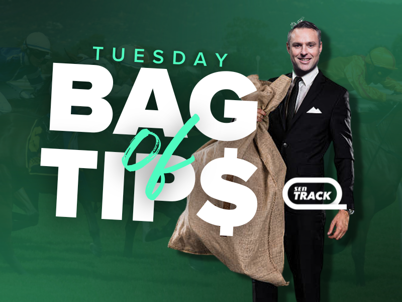 SENTrack: Tuesday’s Bag Of Tips (28/05)