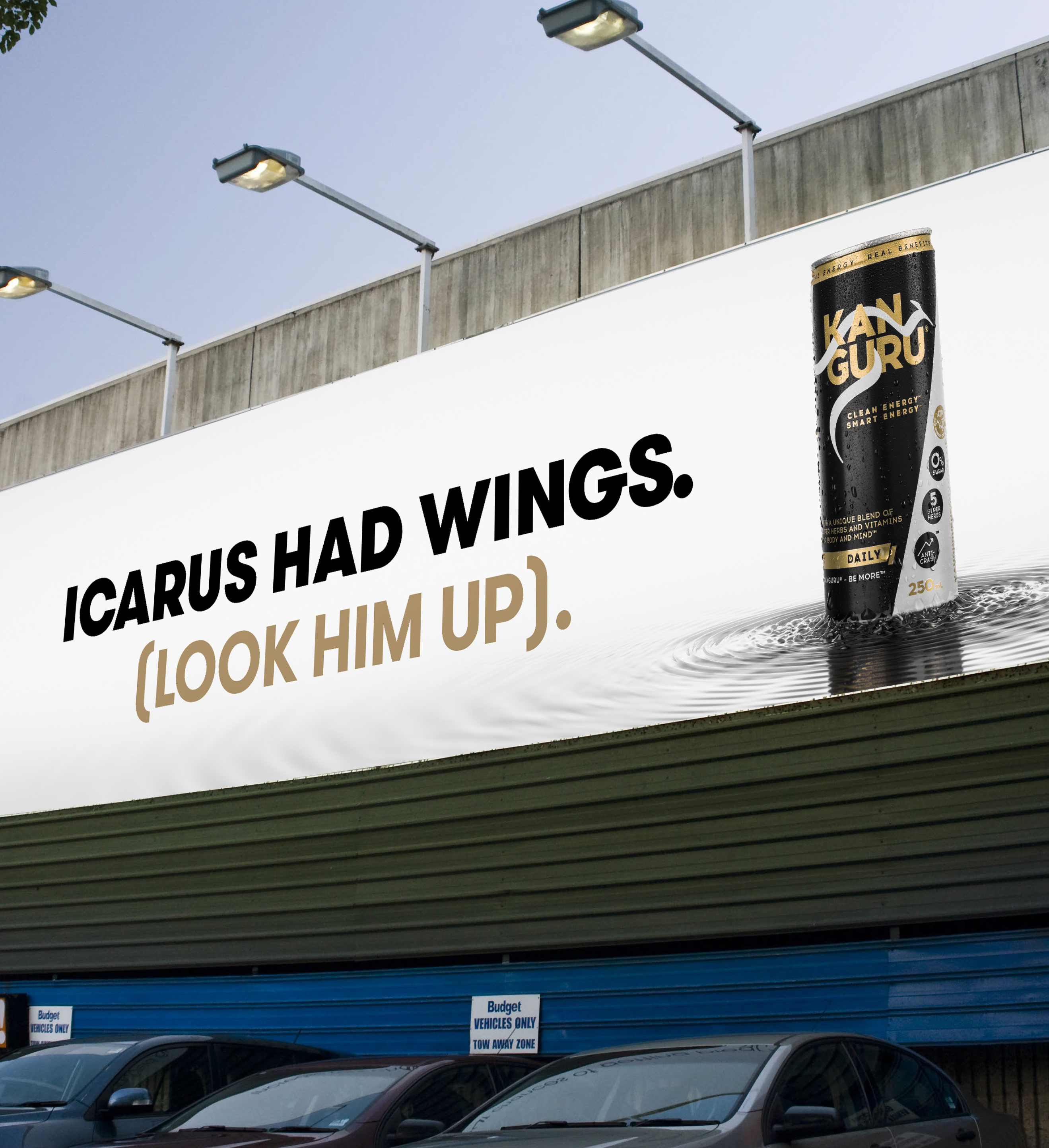 Kanguru Icarus