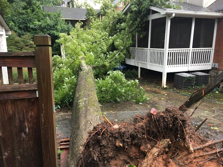 A tree fallen on a house after a hurricane.