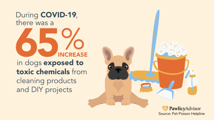 toxic chemicals in dogs