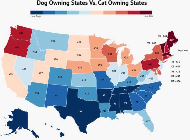 dog owning vs cat owning US states