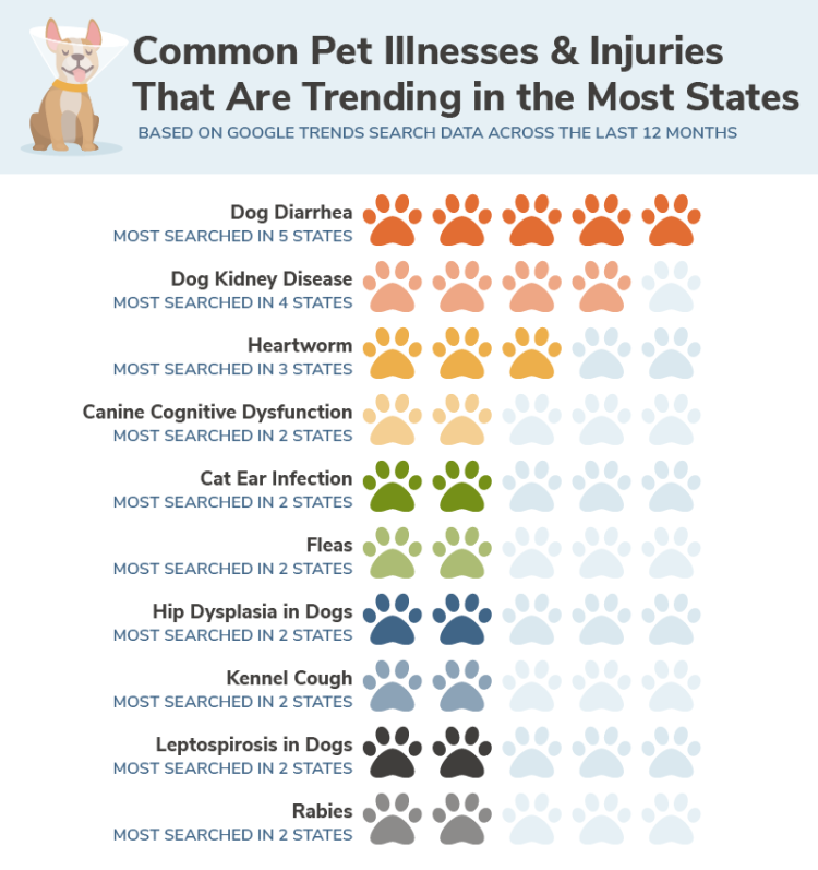 A bar chart showing which common pet illnesses and injuries are trending in the most states