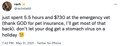 dog insurance tweet 5
