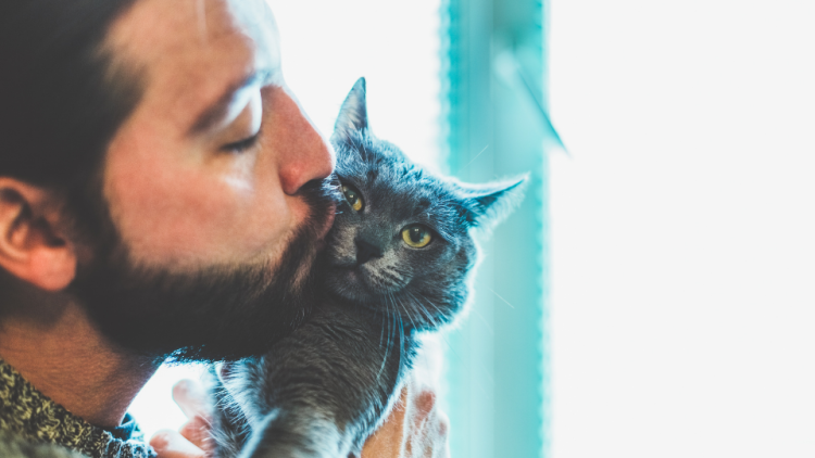 Man gives kiss to pet cat