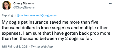 dog insurance tweet 9