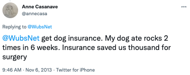 dog insurance tweet 8