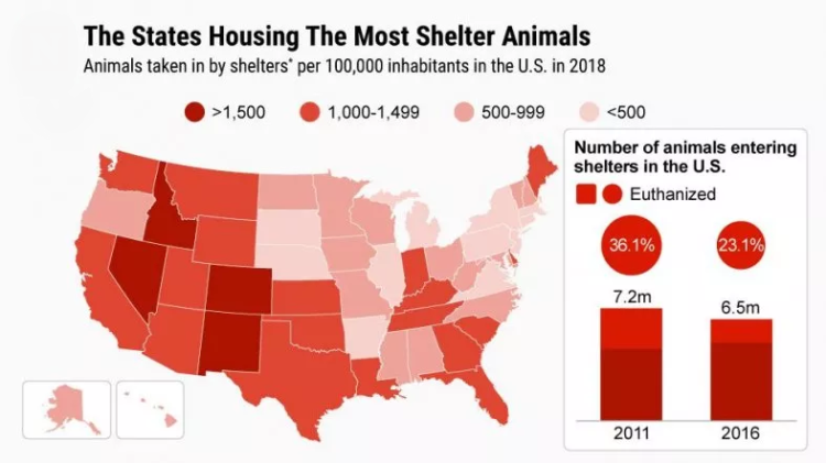Sheltered Animals By State 2018