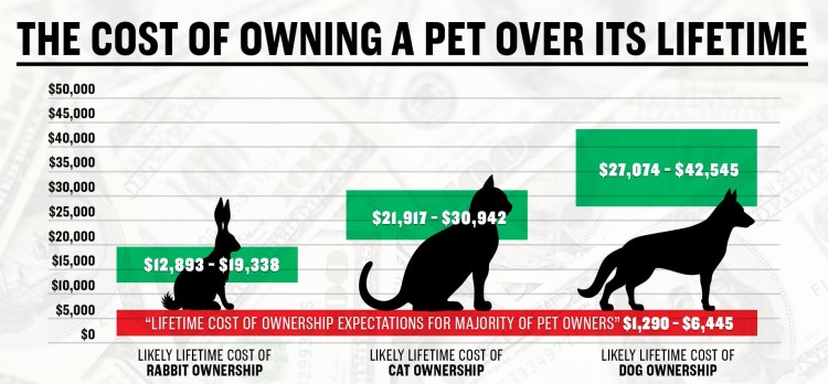 lifetime cost of owning a pet