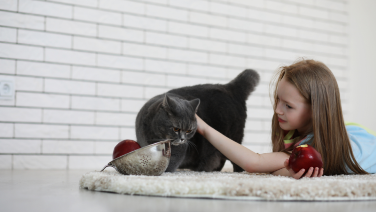Girl eating apple and laying on the ground with cat