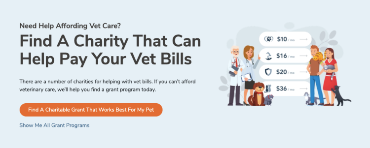 charities to help afford vet care