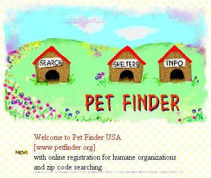 Old Petfinder 1998 homepage design