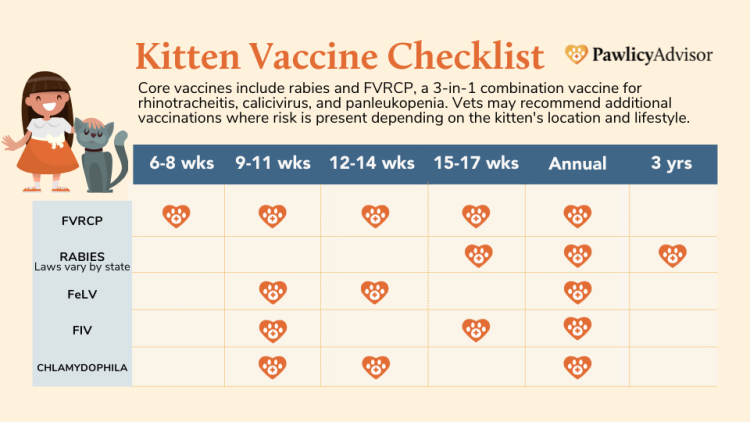 kitten vaccine checklist