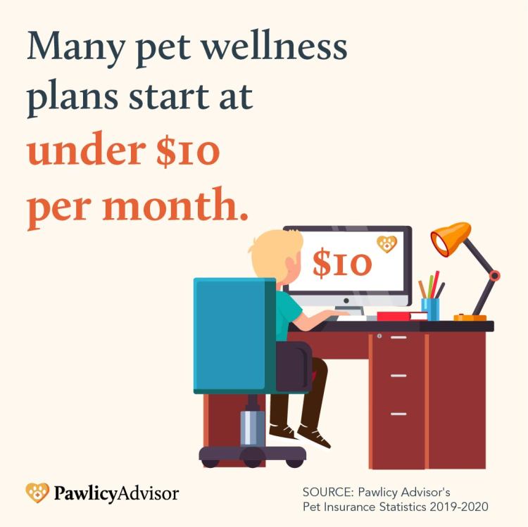 Pet wellness plans start at $10 per month
