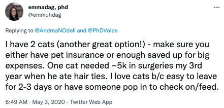 cat insurance twitter post 8
