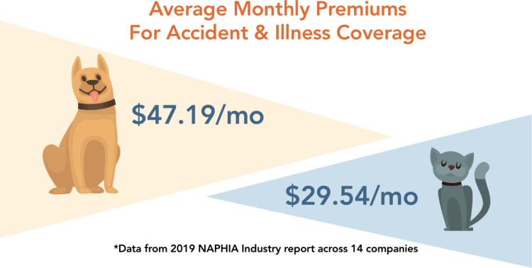 average monthly premiums for accident and illness insurance on dogs vs cats