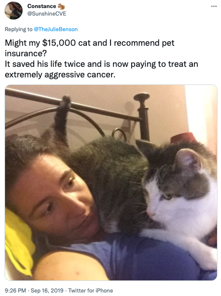 cat insurance twitter post 7
