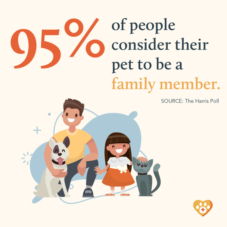 95% of people consider pets family